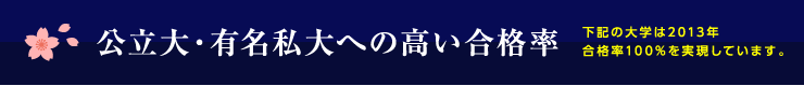 公立大・有名私大への高い合格率
